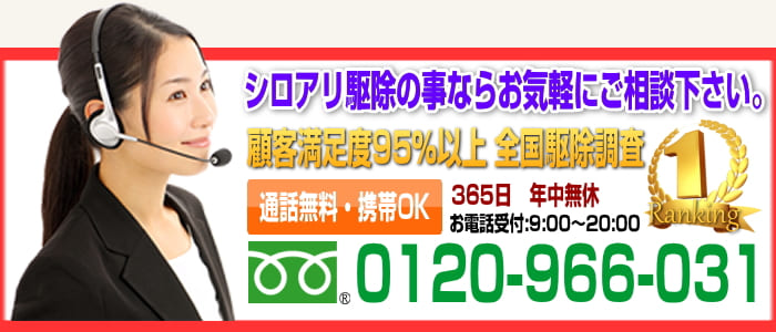 横須賀市のシロアリ駆除なら平米1200円の地元業者へ！受付連絡先